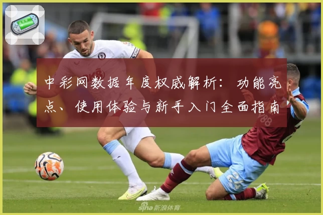 中彩网数据年度权威解析：功能亮点、使用体验与新手入门全面指南