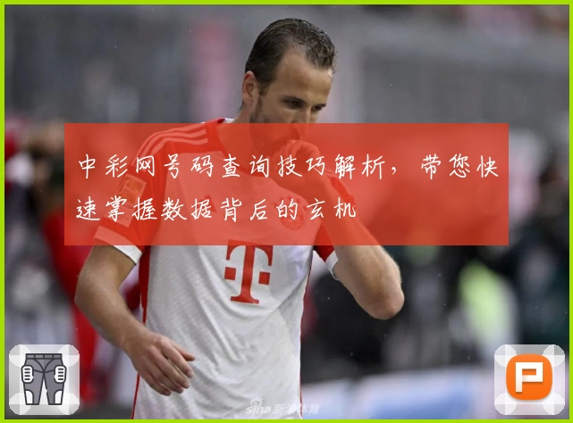 中彩网号码查询技巧解析，带您快速掌握数据背后的玄机