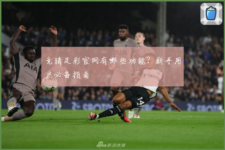 竞猜足彩官网有哪些功能?新手用户必备指南