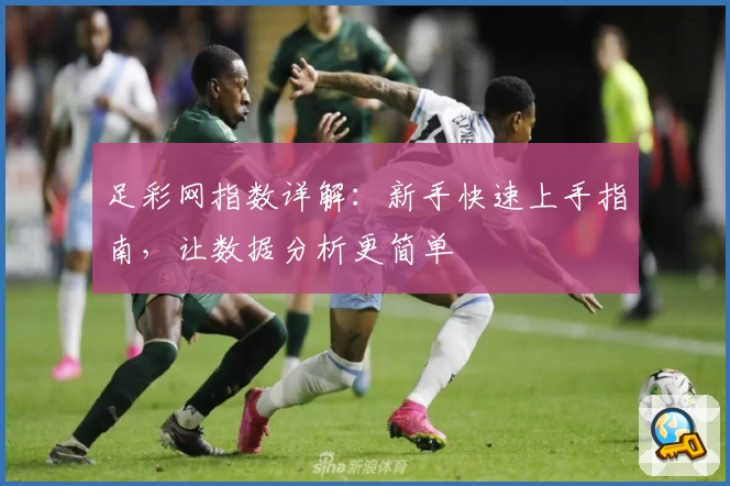 足彩网指数详解：新手快速上手指南，让数据分析更简单