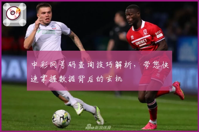 中彩网号码查询技巧解析，带您快速掌握数据背后的玄机