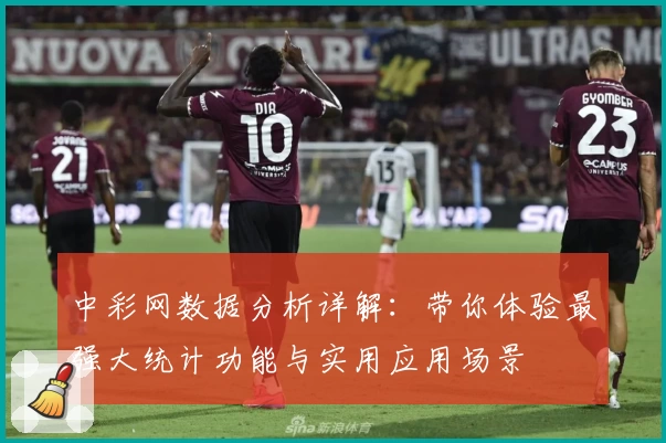 中彩网数据分析详解：带你体验最强大统计功能与实用应用场景