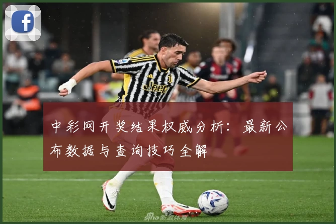 中彩网开奖结果权威分析：最新公布数据与查询技巧全解